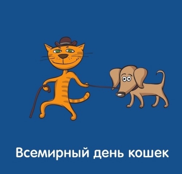 Поздравления анимация, всемирный день кошек прикольные картинки