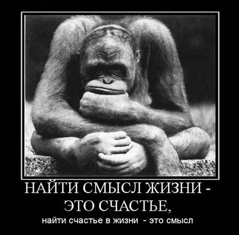 Махачкала, Рисалат как найти свой смысл жизни Ажар красивая