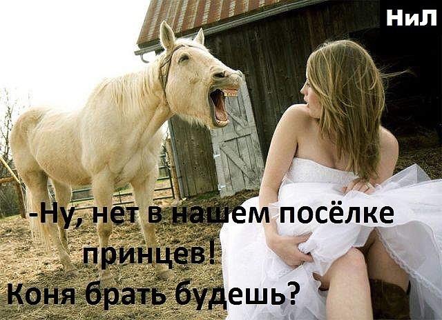 Смешная картинка принца на коне