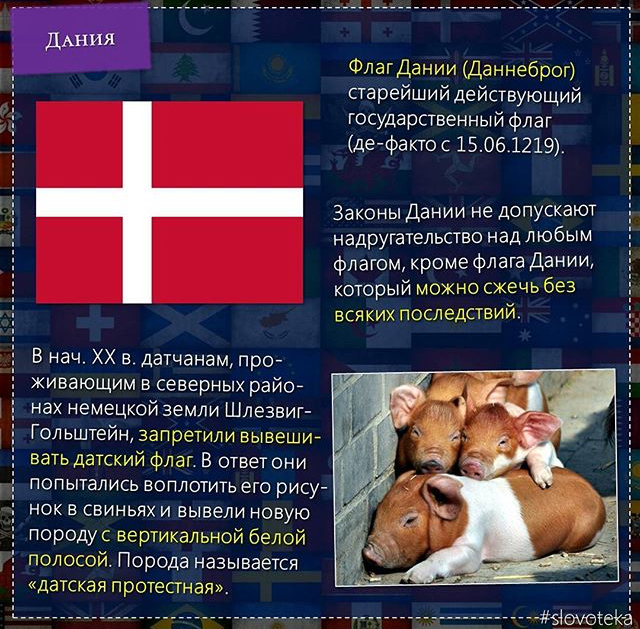 Как называется наука изучающая флаги. Как называется наука о флагах. Флаг науки. Вексиллология это наука изучающая. Вексиллология россии.