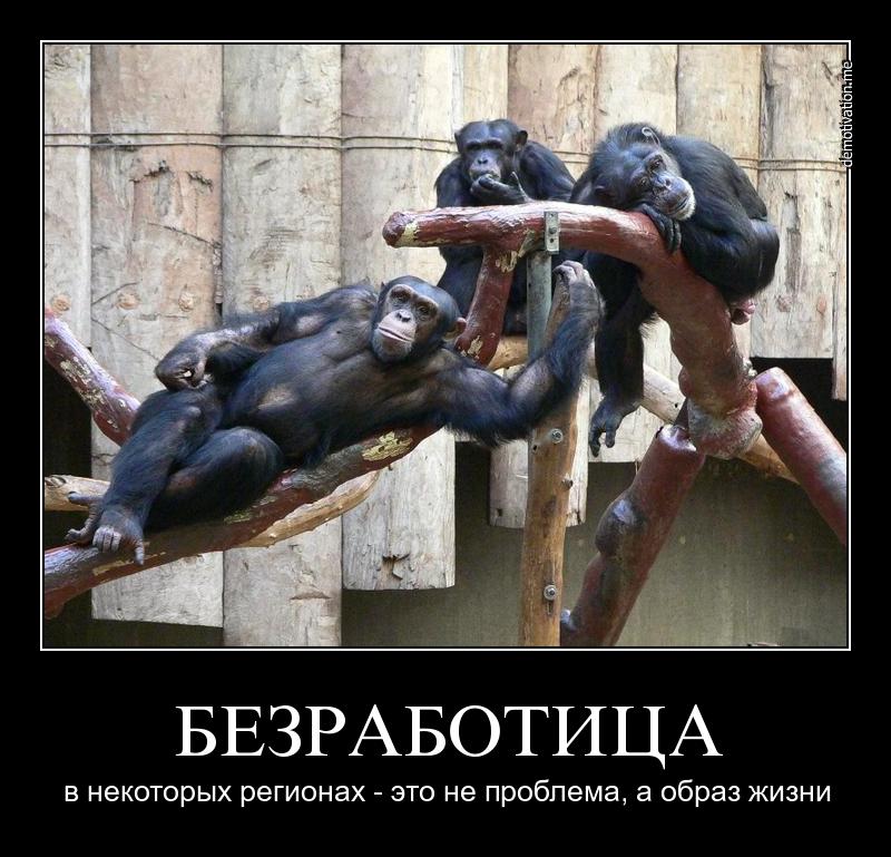 Я безработный смешные картинки