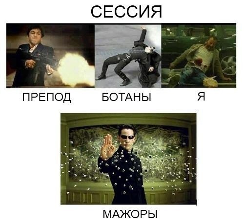 Для, сессия смешные картинка