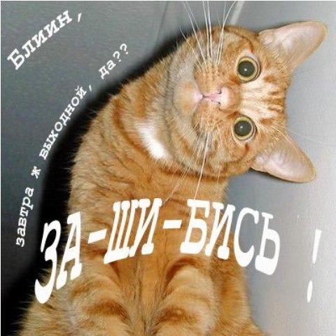 Картинки смешные завтра выходной, советские
