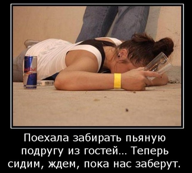 Увезите меня пьяным. Увезите меня пьяным