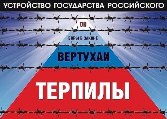 Наемники РФ обстреляли частный сектор Попасной на Луганщине, - Нацполиция - Цензор.НЕТ 9211