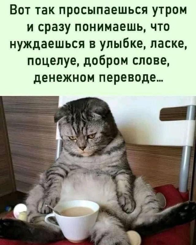 проснулся среди ночи. нарушение сна. вот так просыпаешься утром и сразу понимаешь что нуждаешься в улыбке. вот и утро.