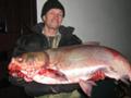 ловля на новомичуринском водохранилище ловля на новомичуринском водохранилище