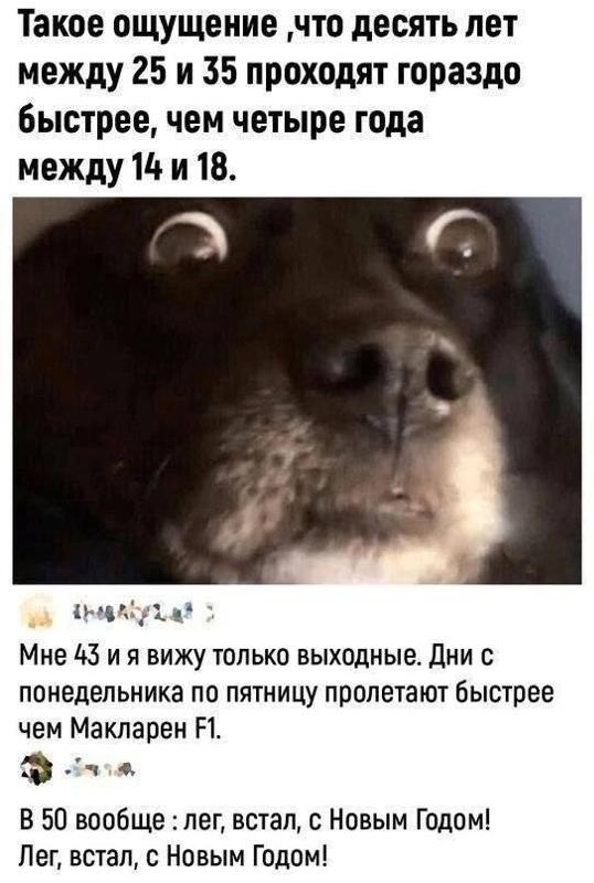 Мам во сколько я родился мем. Часы с вопросом. Человек смотрит на часы. Женщина с будильником. Мужчина указывает на часы.