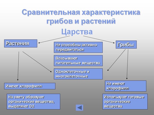 Ответы Mail.ru: признаки царства растений?