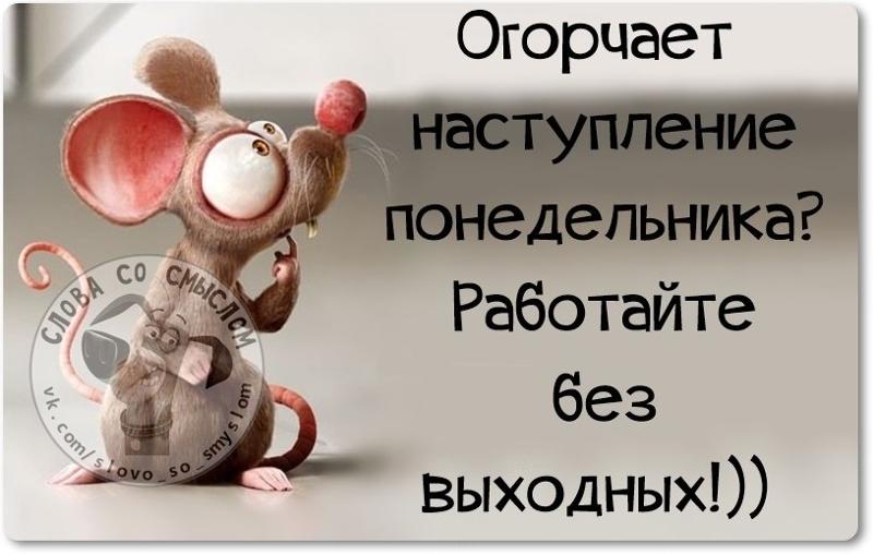 Смешные картинки про понедельник с надписями и работу, новогодние картинки для