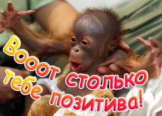 самом деле, прикольные картинки с позитивом вот