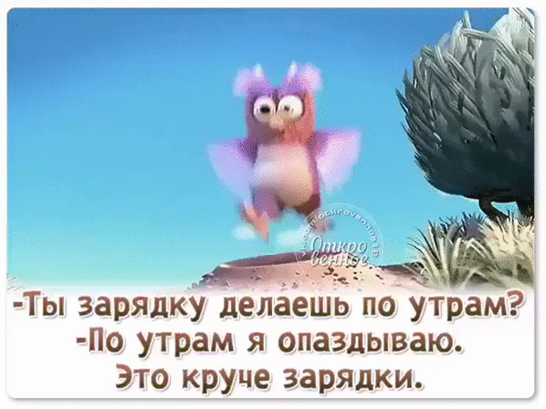 Приколы про зарядку утром. Шутки про мобильный телефон. Демотиватор зарядка. Анекдоты про зарядку. Приколы про зарядку утром.