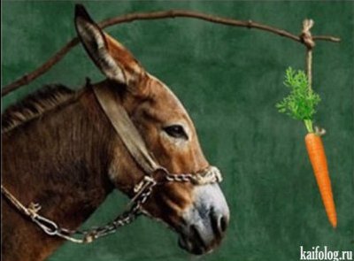 64a7aac8c187c28259b4342ff49093ad_i-1652.