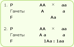 Ответы Mail.ru: Биология. Как решать задачи на моно-гибридное скрещивание