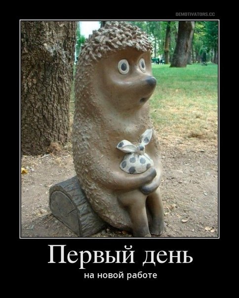 Поздравлением дня, открытки с 1 рабочим днем