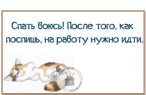 Почему не спим картинки прикольные
