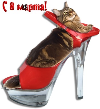 приколы март 2024