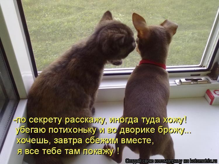Расскажи тайну о ней. Расскажи тайну о ней. Шепчет на ухо. Ронда берн секрет. Человек шепчет на ухо.