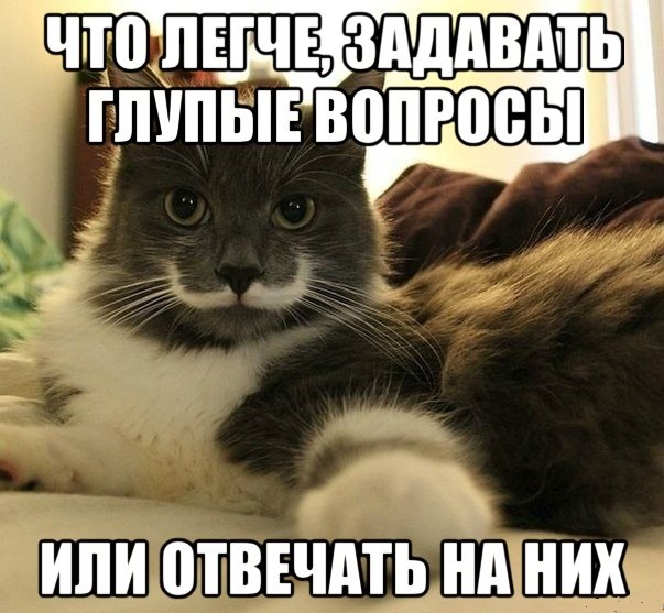 Почему не отвечаешь картинки с приколом, открытка