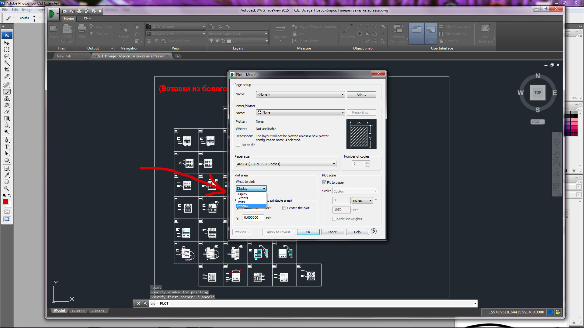 Dwg TRUEVIEW печать области