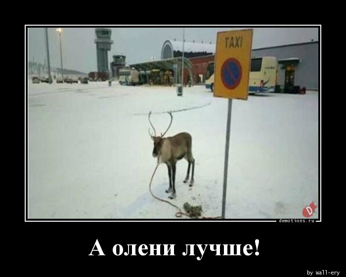 6731814_a286ee0cbb1ee259cae2c66939ffc7bb