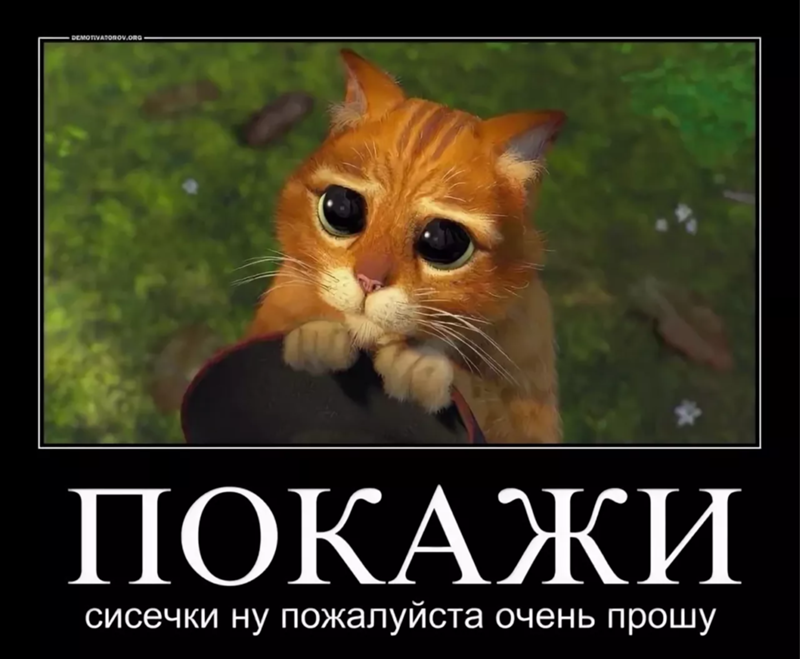 Открытка, покажи мне очень смешные картинки пожалуйста