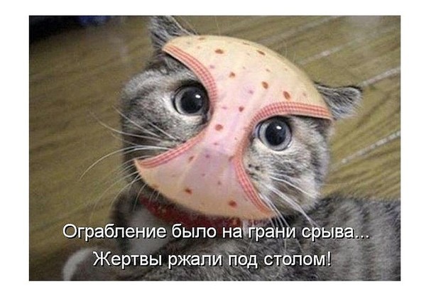 трусы на голове фото онлайн трусы на голове фото