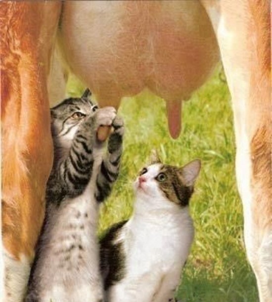 68083246_c36425910caffb20c21204cb405ba4c