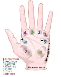 Папилломы на головке как лечить