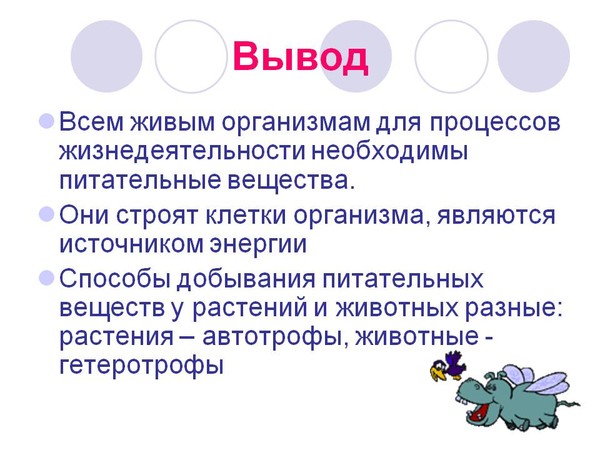 Особенности строения и процессов жизнедеятельности животных - найдено 86 картино