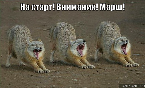 на старт внимание марш картинки