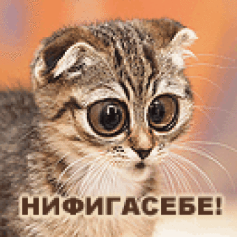 Каськив задержан в Панаме, - Луценко - Цензор.НЕТ 5582