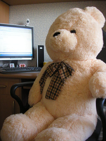 мягкая игрушка дома. мишка домой. медвежата домашние. домашний мишка. большой плюшевый мишка в домашних условиях.