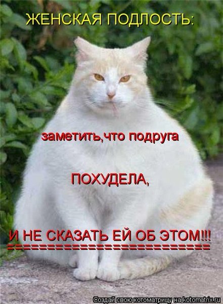 Смешные картинки про подлость, картинки