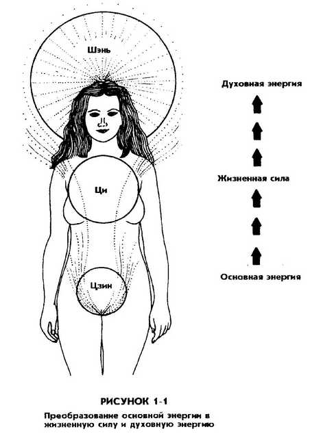 думаю, что красивая грудь и попка девушки неплохой топик Весьма