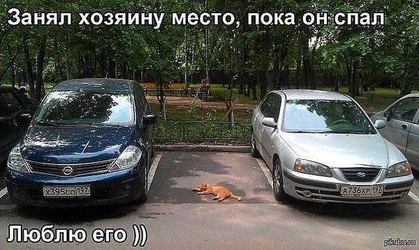 Что за квитанции на капитальный ремонт в пензе законно ли это Что за квитанции на капитальный ремонт в пензе законно ли это