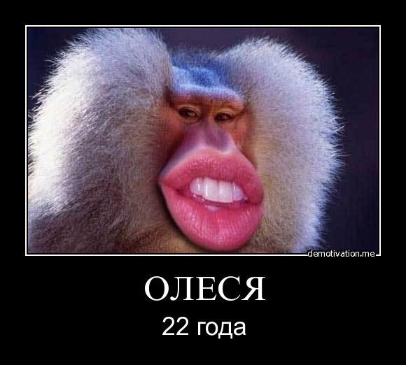 Смешные картинки для олеси, день