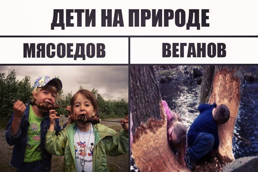Мая для, приколы про вегетарианцев картинки