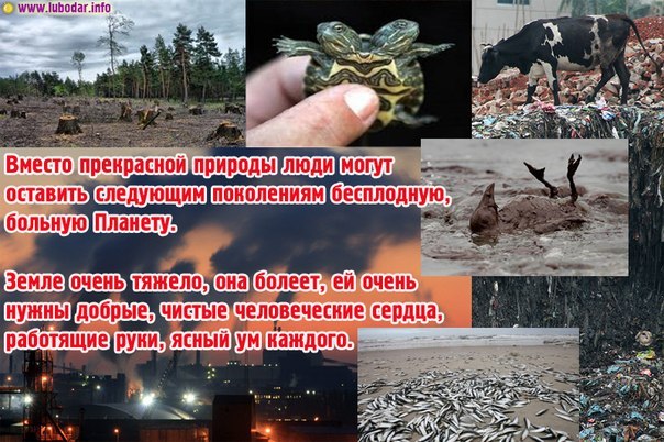 Проект как человек вредит природе
