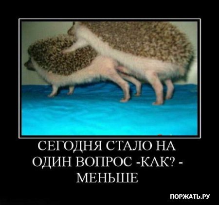 картинки где занимаются любовью онлайн картинки где занимаются любовью