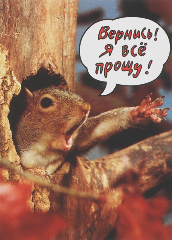 Смешные картинки я вернусь