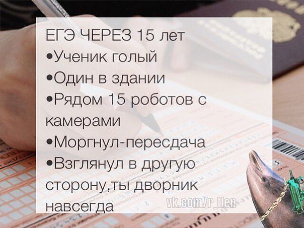 Летием свадьбы, картинки огэ смешные