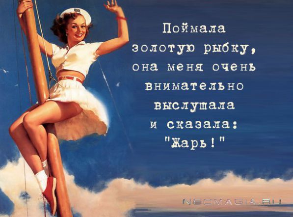 Картинки про золотую рыбку смешные жарь меня
