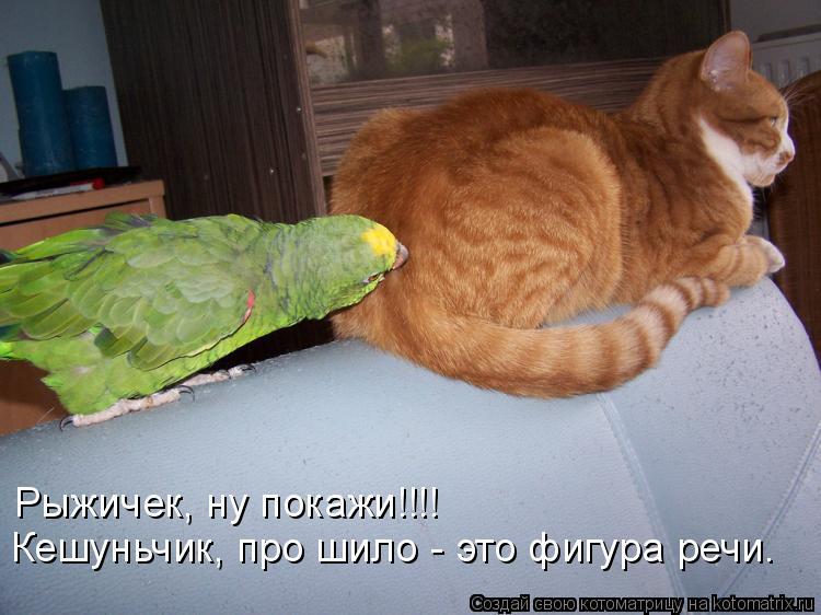 Шило в одном месте