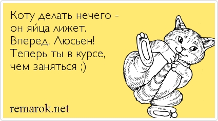 что я делаю когда мне нечего делать гифка соединения осуществляется