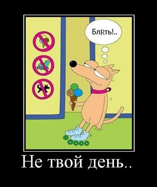 Мем собака на роликах с мороженым