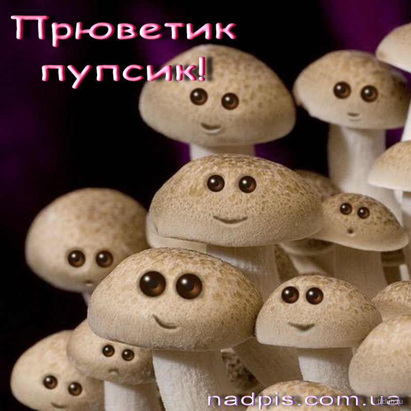 Юмор Про Грибы Картинки