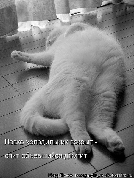 в белом сне как записи