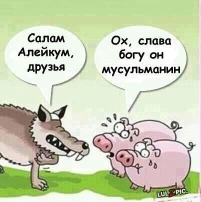 прикольные картинки салам смешные прикольные картинки салам смешные