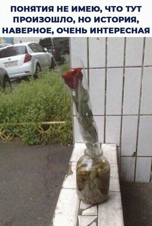 Сделайте предположение в каких. Сделайте предположение в каких